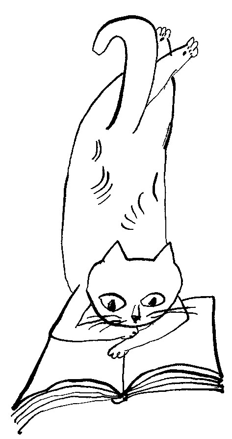 本を読む猫
