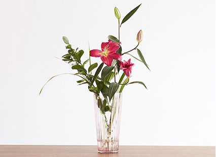 Actus Life With Colors Actus Online アクタス オンライン